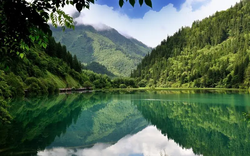 高效智慧